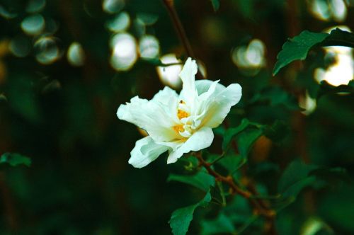 Fotografia de penilo - Galeria Fotografica: mis viajes - Foto: 