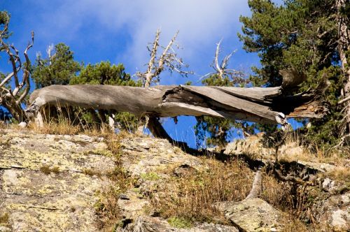 Fotografia de penilo - Galeria Fotografica: mis viajes - Foto: 