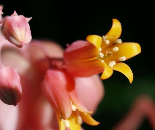 Fotografia de missyaya - Galeria Fotografica: Agua-acero - Foto: 