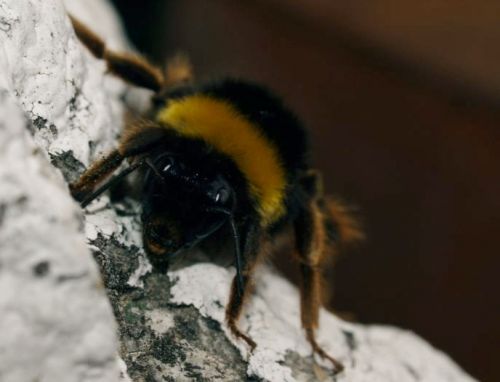 Fotografia de missyaya - Galeria Fotografica: Agua-acero - Foto: 