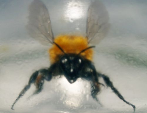 Fotografia de missyaya - Galeria Fotografica: Agua-acero - Foto: Mirando el interior