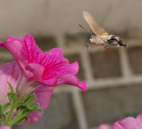 Fotografia de missyaya - Galeria Fotografica: Agua-acero - Foto: A merendar!