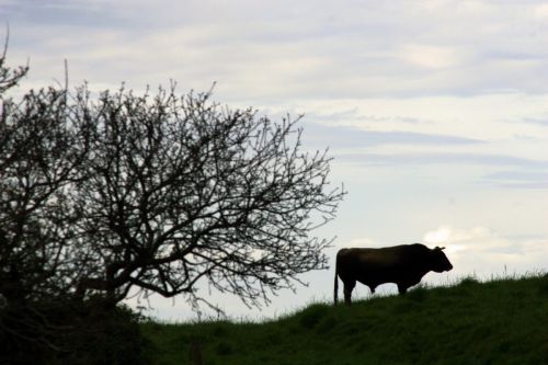 Fotografia de felixfoto - Galeria Fotografica: PAISAJE - Foto: 