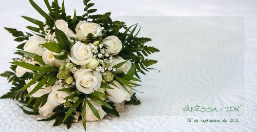 Fotografia de photozesar.com - Galeria Fotografica: galeria - Foto: 