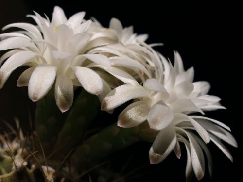 Fotografia de missyaya - Galeria Fotografica: Agua-acero - Foto: 