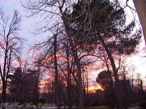 Fotografia de Thulcandra - Galeria Fotografica: Enero 2006 - Foto: Atardecer