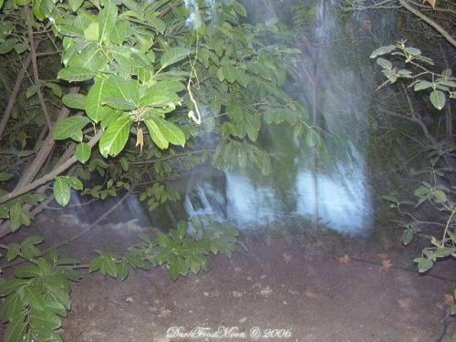 Fotografia de Thulcandra - Galeria Fotografica: Enero 2006 - Foto: Into the Cascade