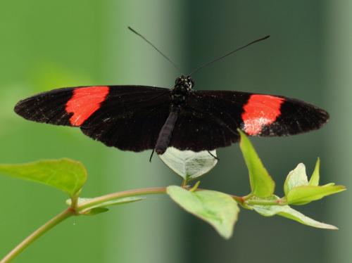 Fotografia de Usl� - Galeria Fotografica: Cantabria - Foto: Viajando							