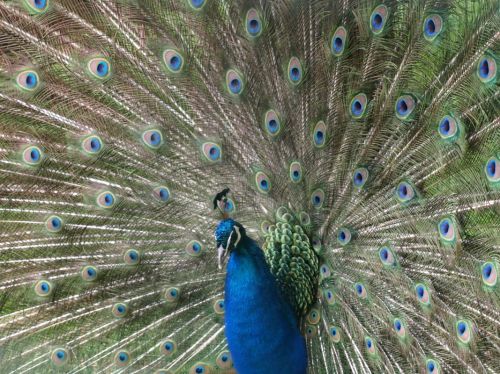 Fotografia de Usl� - Galeria Fotografica: Cantabria - Foto: Presumido.