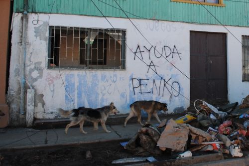 Fotografia de Trauko - Galeria Fotografica: Terremoto - Foto: Help