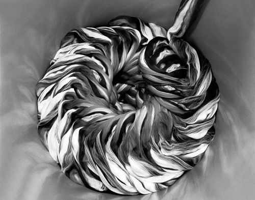 Fotografia de Niccol Biddau - Galeria Fotografica: Made in Italy - Foto: Made in Italy