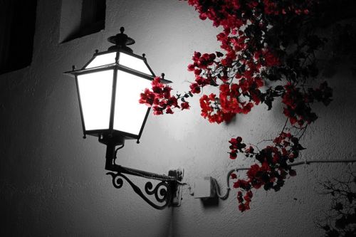 Fotografia de Alejandro - Galeria Fotografica: Ms - Foto: Luz