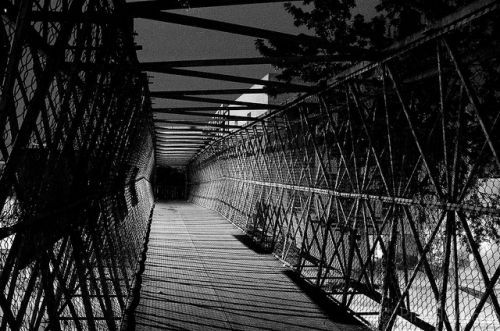 Fotografia de Jess Pineda - Galeria Fotografica: Mi visin - Foto: 