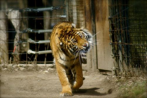 Fotografia de Jess Pineda - Galeria Fotografica: Mi visin - Foto: 