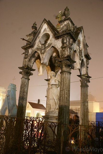 Fotografia de Jess Pineda - Galeria Fotografica: Mi visin - Foto: 