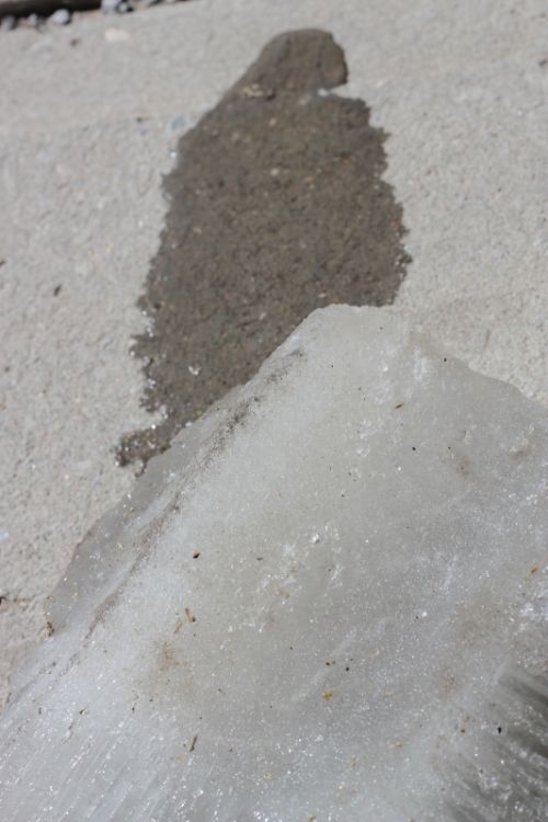 Fotografia de david - Galeria Fotografica: art - Foto: 