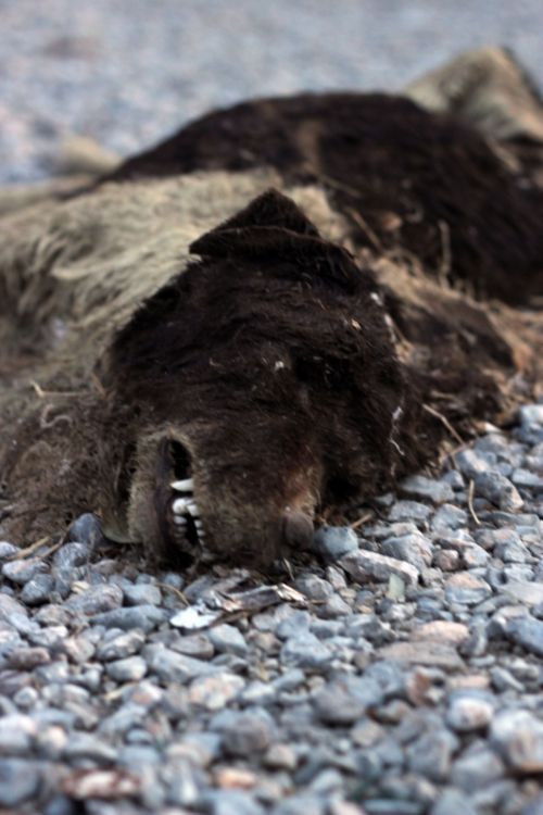 Fotografia de david - Galeria Fotografica: art - Foto: 