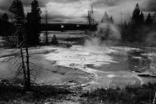 Fotografia de Nikonoclasta - Galeria Fotografica: Momentos - Foto: Yellowstone