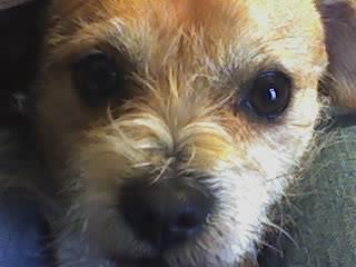 Fotografia de mundo e - Galeria Fotografica: Edgar - Foto: s