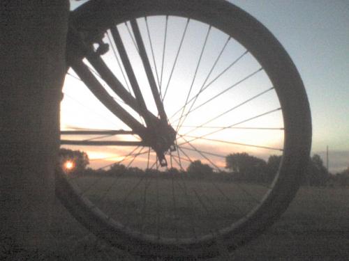 Fotografia de THC SER DE SER - Galeria Fotografica: domingos para ver - Foto: esperandote