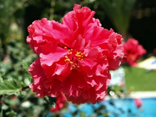 Fotografia de cbel - Galeria Fotografica: mis primeras fotos - Foto: 