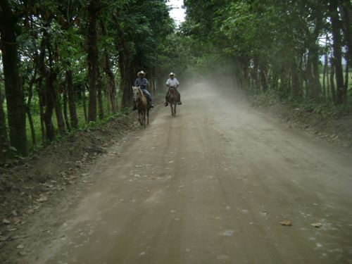 Fotografia de Christian Javier - Galeria Fotografica: SIMPOSIO SINIESTRO - Foto: Via Rastre