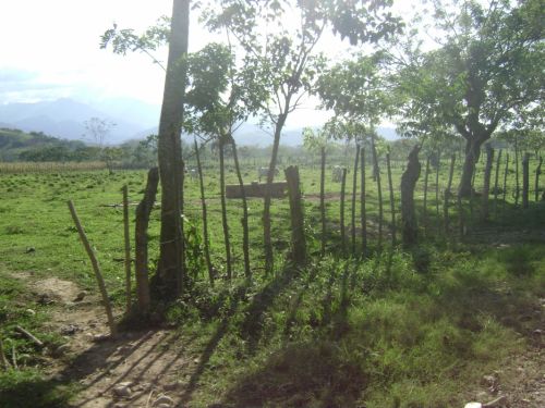 Fotografia de Christian Javier - Galeria Fotografica: SIMPOSIO SINIESTRO - Foto: Usucapion