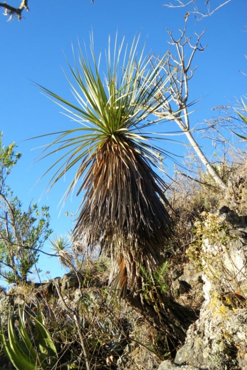 Fotografia de oscar - Galeria Fotografica: naturaleza - Foto: bonita
