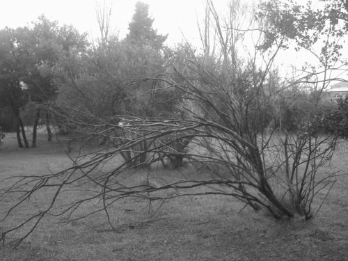 Fotografia de eamane - Galeria Fotografica: 