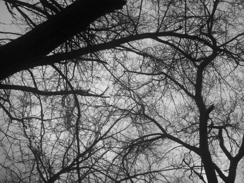 Fotografia de eamane - Galeria Fotografica: 