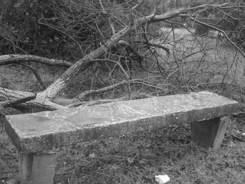 Fotografia de eamane - Galeria Fotografica: 