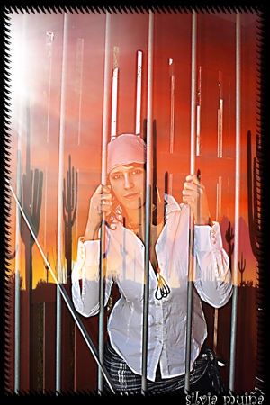 Fotografia de geneva - Galeria Fotografica: detodounpouco - Foto: 