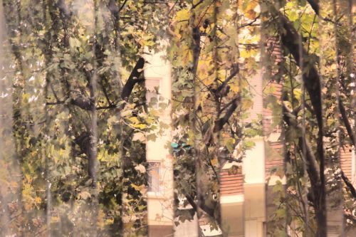 Fotografia de baneos - Galeria Fotografica: reloj - Foto: sagasta