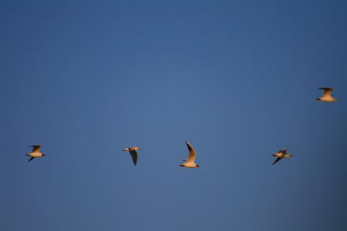 Fotografia de ivanescense - Galeria Fotografica: Popurri - Foto: siganme