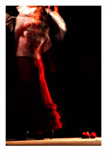 Fotografia de ... - Galeria Fotografica: buscando fortuna - Foto: Ol�!