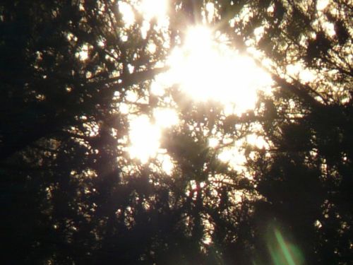 Fotografia de josenohales - Galeria Fotografica: los columpios - Foto: resplandor