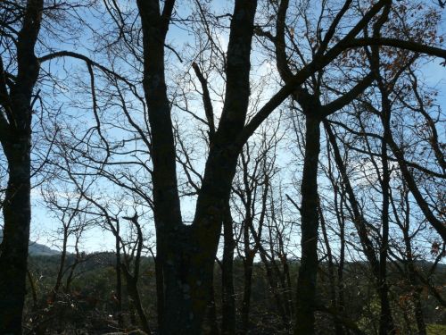 Fotografia de josenohales - Galeria Fotografica: los columpios - Foto: atardecer