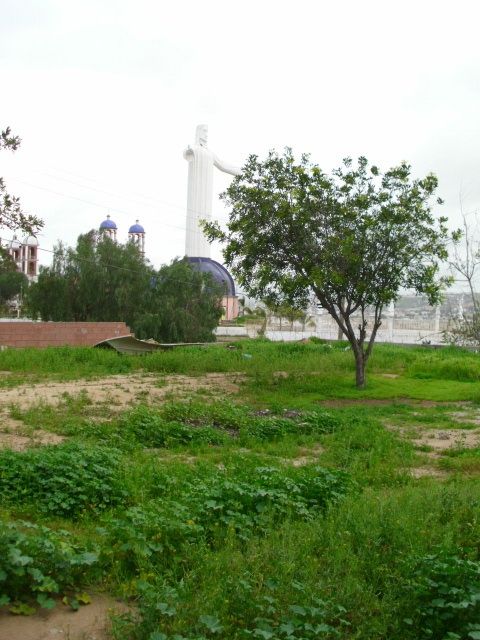 Fotografia de Price Winter - Galeria Fotografica: PWNat - Foto: 