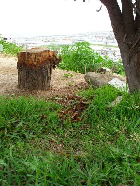 Fotografia de Price Winter - Galeria Fotografica: PWNat - Foto: 