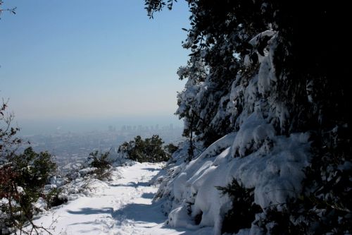Fotografia de Lluis - Galeria Fotografica: Barcelona - Foto: Collserola