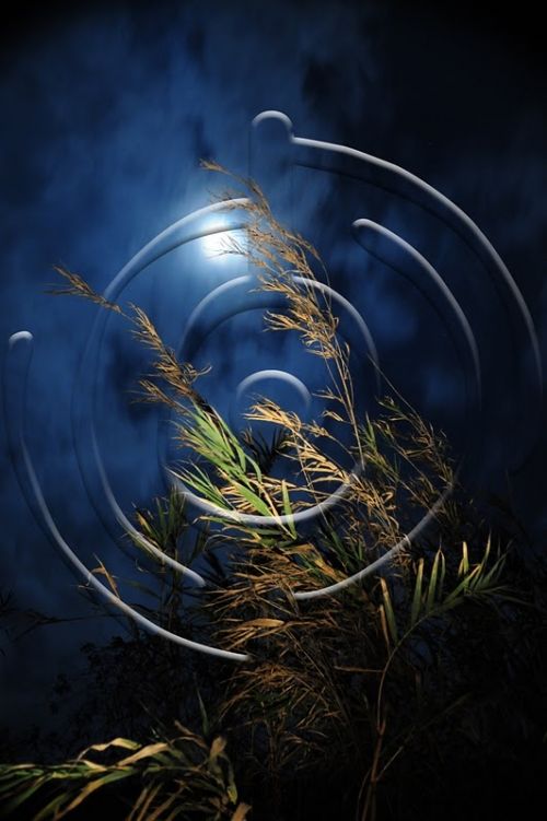 Fotografia de Bamboo producciones - Galeria Fotografica: Paisajes - Foto: 