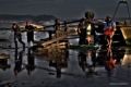 Fotos de Alfredo Romero Fotografias -  Foto: A la orilla del mediterraneo - Pescadores de Alquian