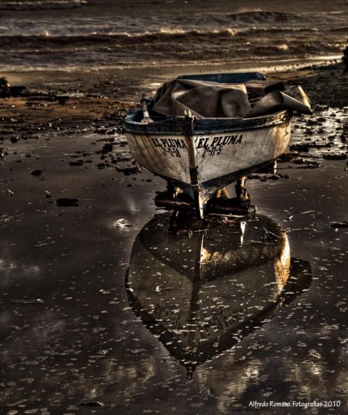 Fotografia de Alfredo Romero Fotografias - Galeria Fotografica: A la orilla del mediterraneo - Foto: El pluma