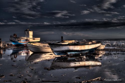 Fotografia de Alfredo Romero Fotografias - Galeria Fotografica: A la orilla del mediterraneo - Foto: El pluma y los chiquiticos