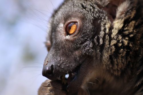 Fotografia de Zesar - Galeria Fotografica: ANIMALES - Foto: 