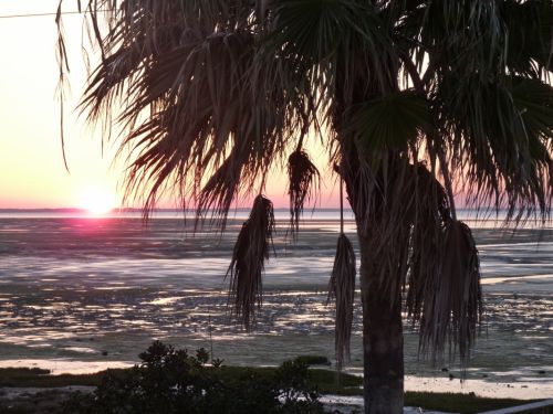 Fotografia de pacodekay - Galeria Fotografica: la isla - Foto: la isla de camaron