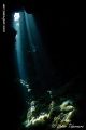 Fotos de Victor Tabernero - Underwater Photography -  Foto: El Color del silencio - 