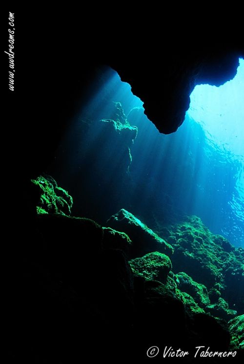 Fotografia de Victor Tabernero - Underwater Photography - Galeria Fotografica: El Color del silencio - Foto: 