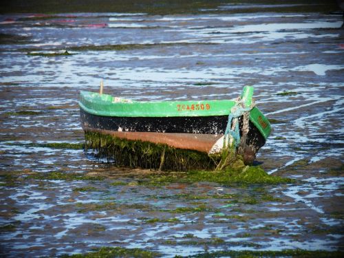 Fotografia de pacodekay - Galeria Fotografica: la isla - Foto: ella y yo