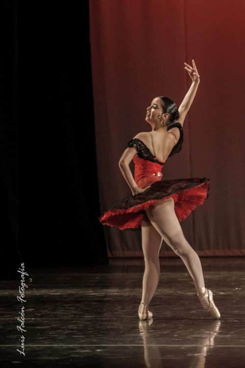 Fotografia de Luis Falcn - Galeria Fotografica: Teatro - Ballet - Foto: 